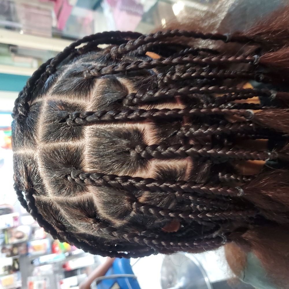 Pre Parting And Sectioning at Djina  Braiding in Grand Prairie, TX