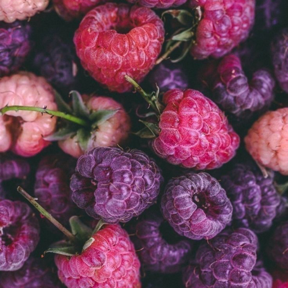 Facial Restoration Services at The Naked Berry in Madera, CA