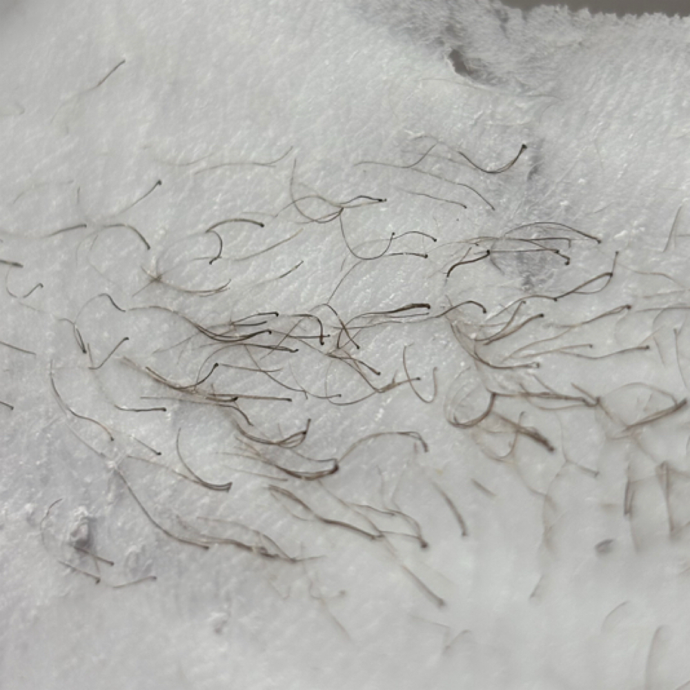 Half Back Wax at planet HER in Alexandria, IN