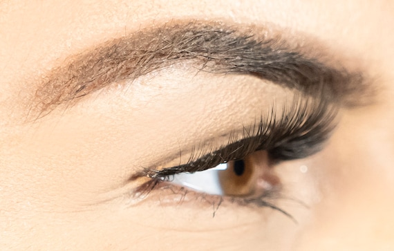 Strip Lash Application