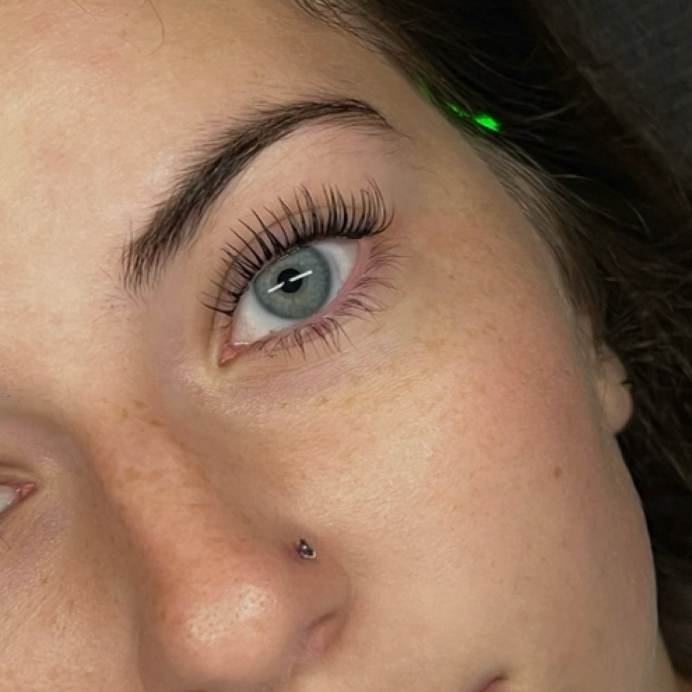 Lash Lift & Tint at Manona Minks in Argyle, TX