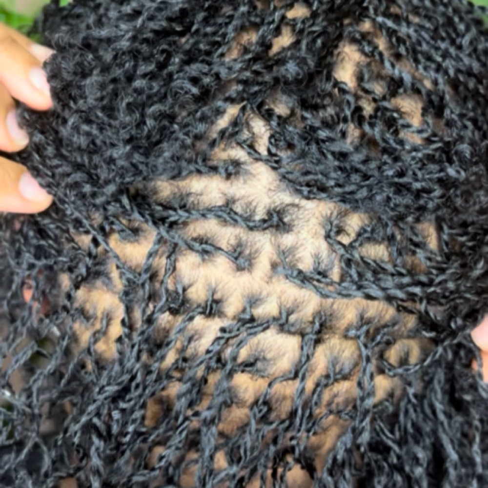 Micro Starter Locs at Natural Beauty by Donecia in Knoxville, TN