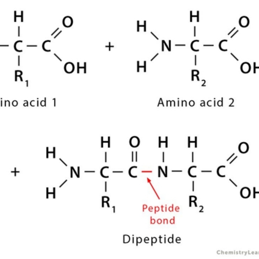 Peptides at Glass Face Aesthetics LLC in Fort Stockton, TX