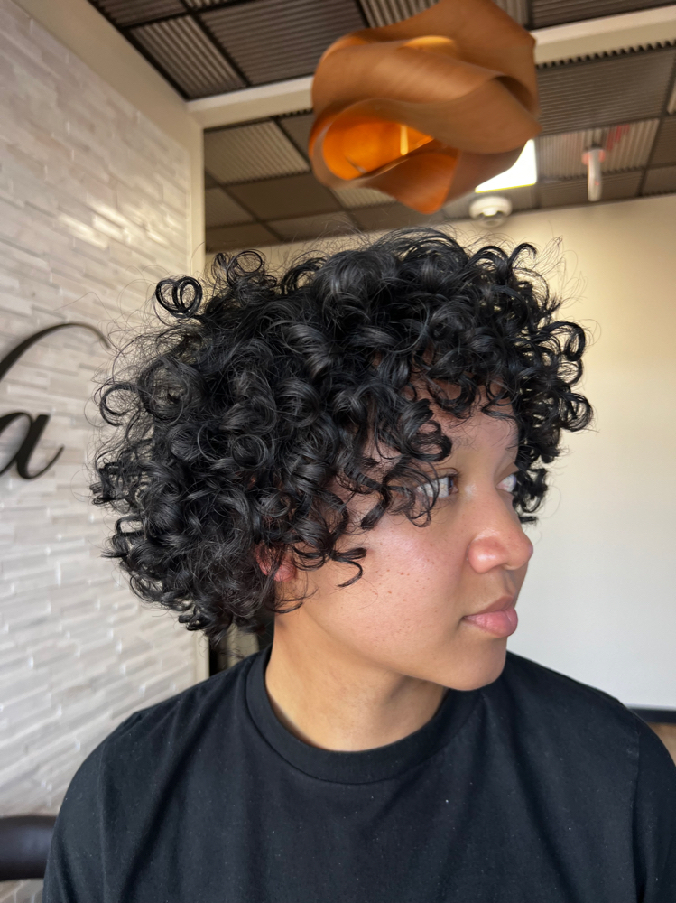 Curly Cut “Deva Cut” Level 1