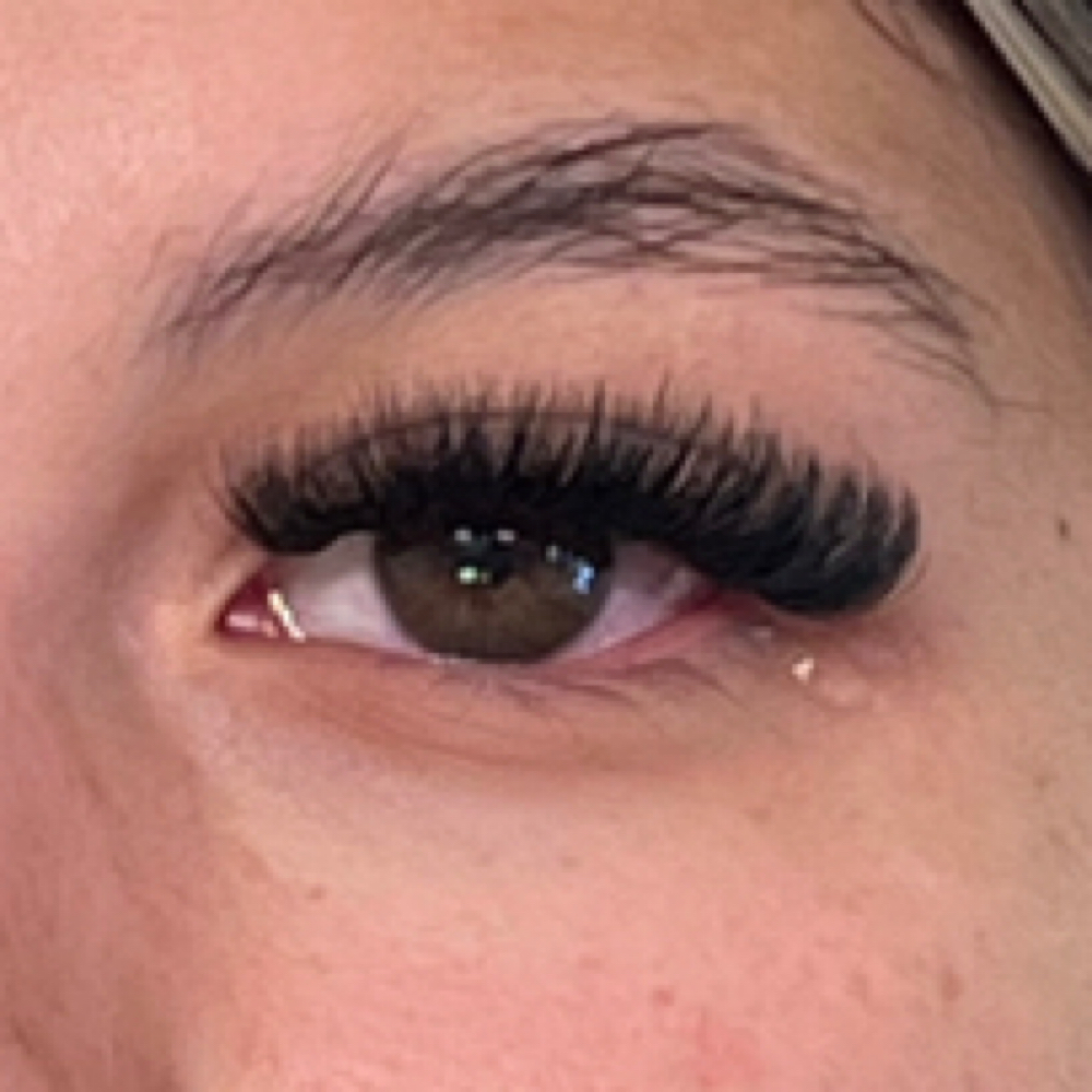 Mega Volume New Set Of Lashes at Ooh La Lash & Brow Beauty Bar in McAllen, TX