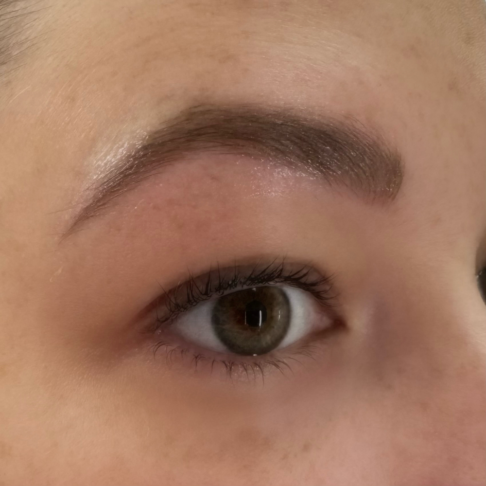 Brow Wax & Shape