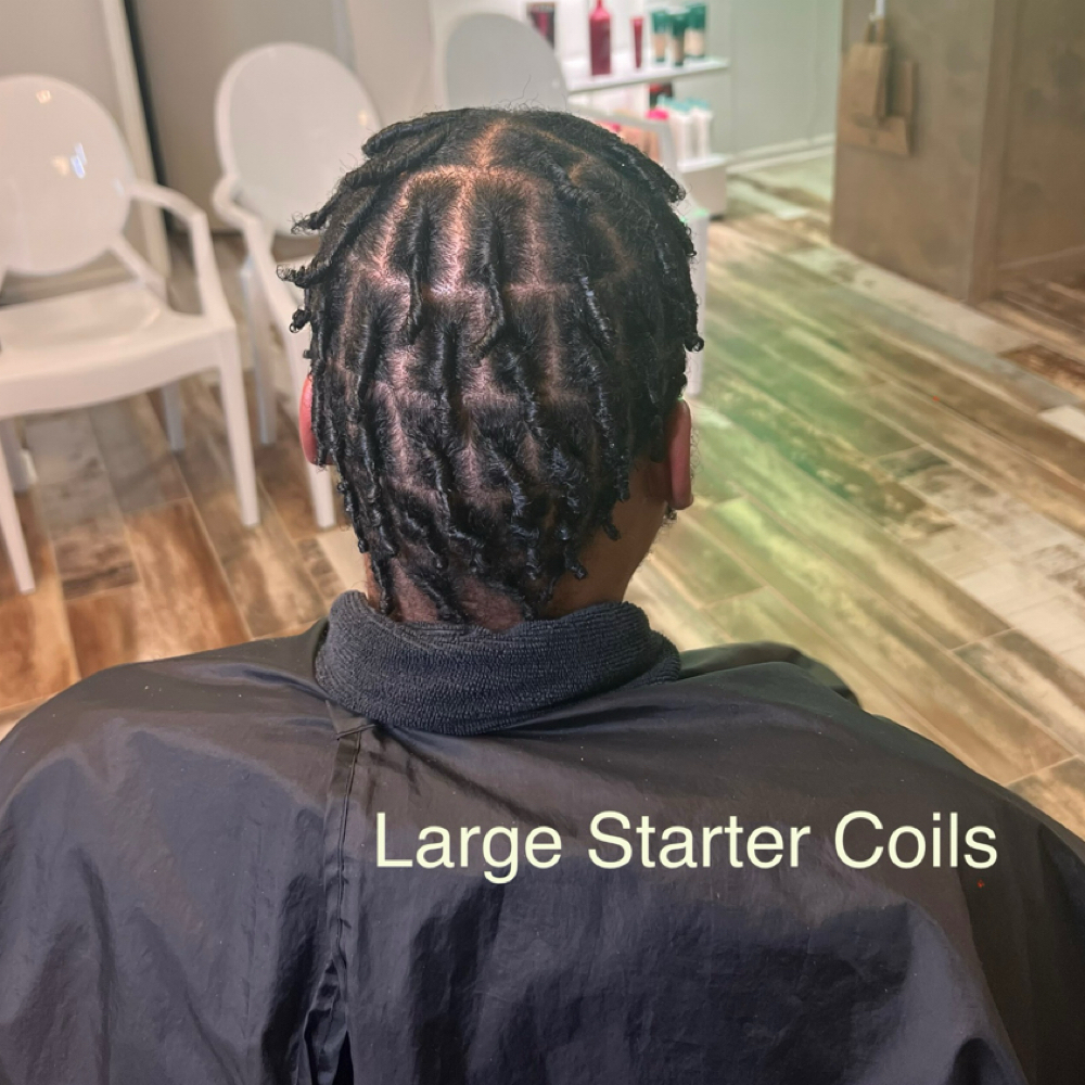Starter Locs at Tamed by Talor in Thibodaux, LA