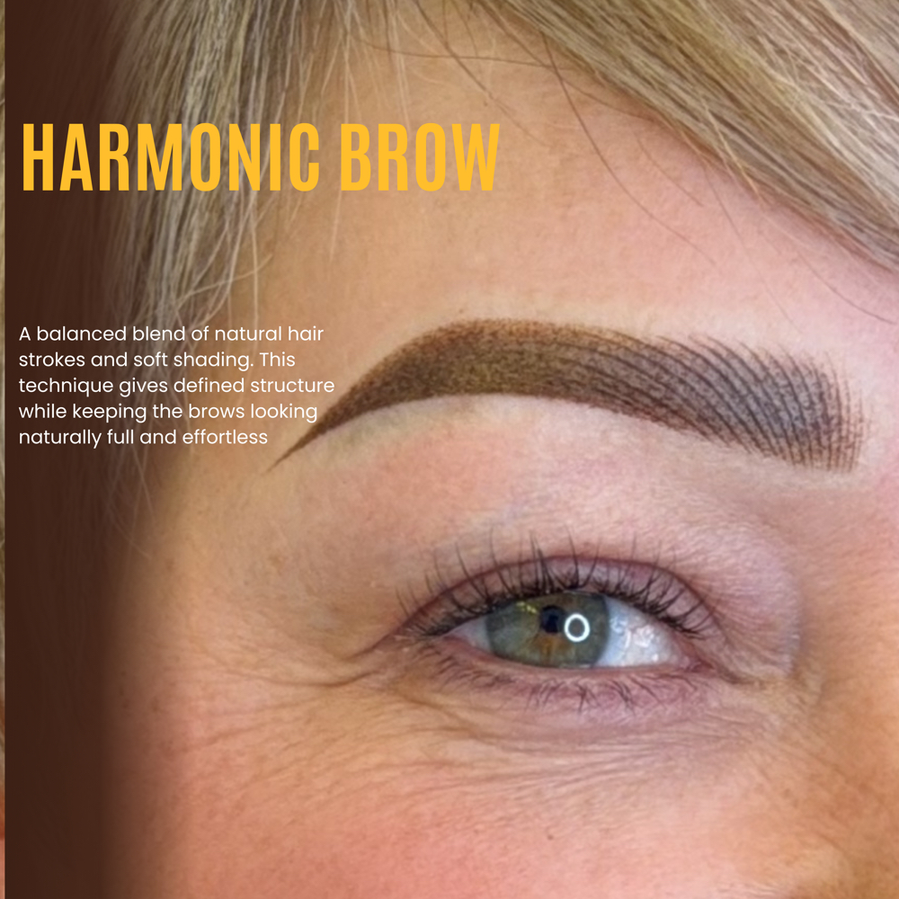 Combo Brows ( Nano + Ombre) at Christina brows in Monroe, GA