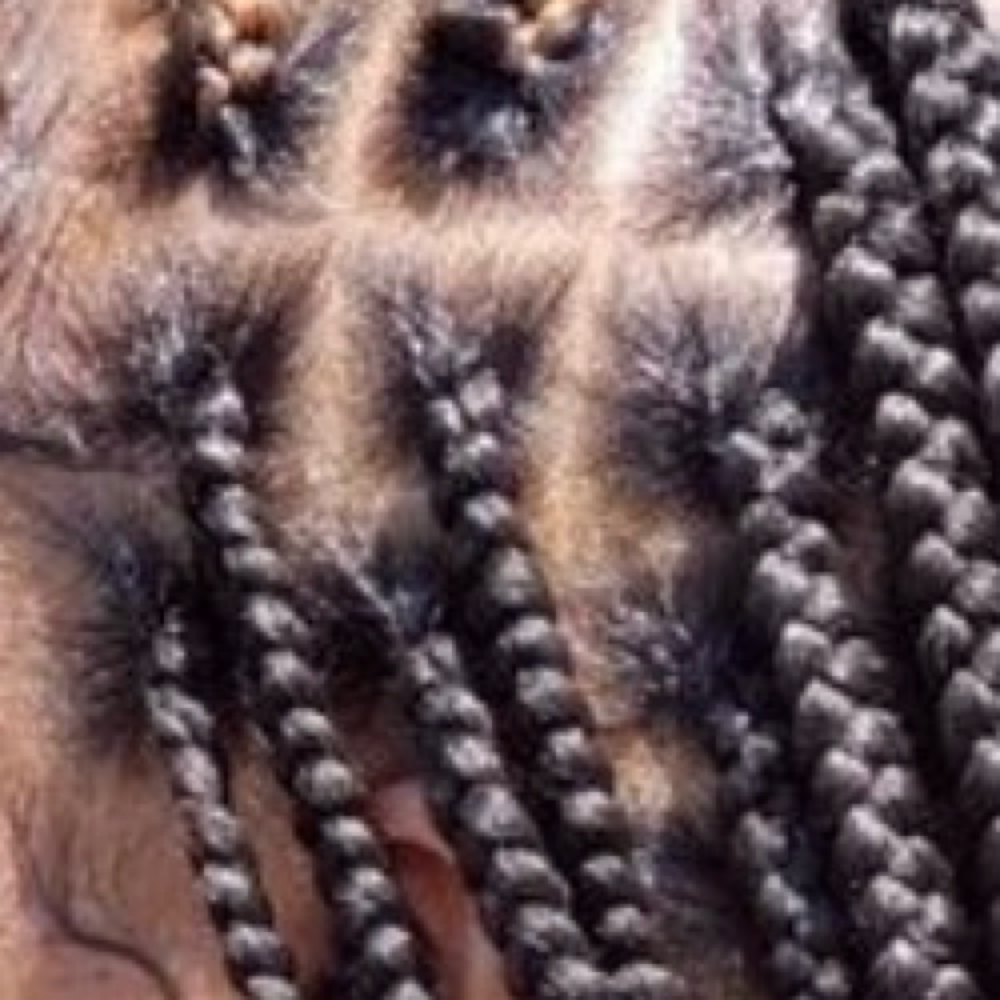 Medium Braids (Pls Read B4 Booking) at Cedar & Silk in Alexandria, VA