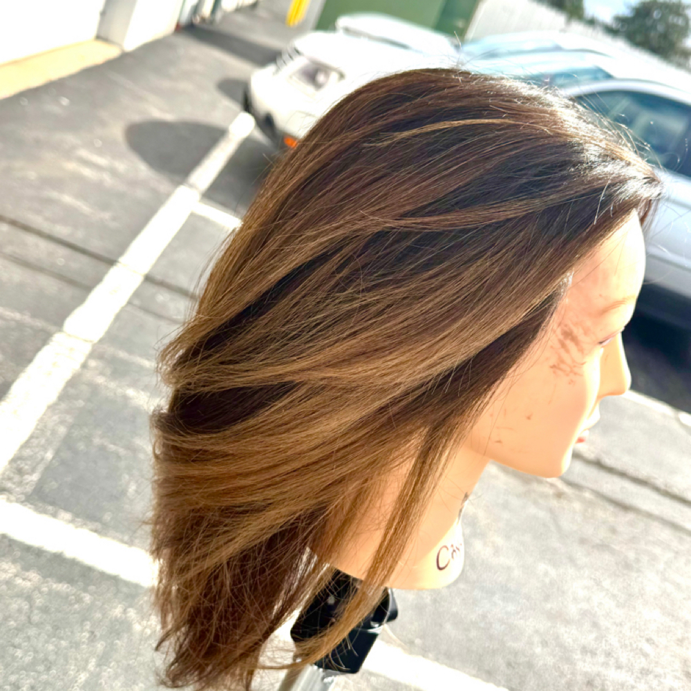 Balayage Hair Coloring at Blushing Bloom Beauty Studio in Munster, IN