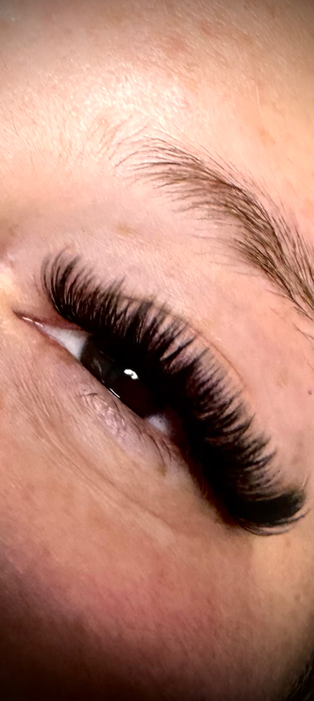 Mega Volume Lashes