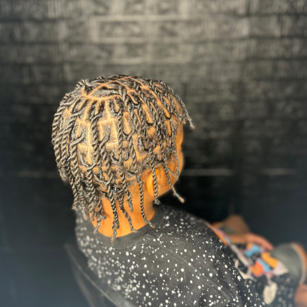 Starter Locs And Style at StylezByJazmyne in Oklahoma City, OK