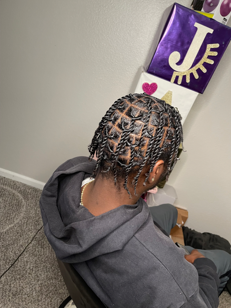 Starter Locs And Style