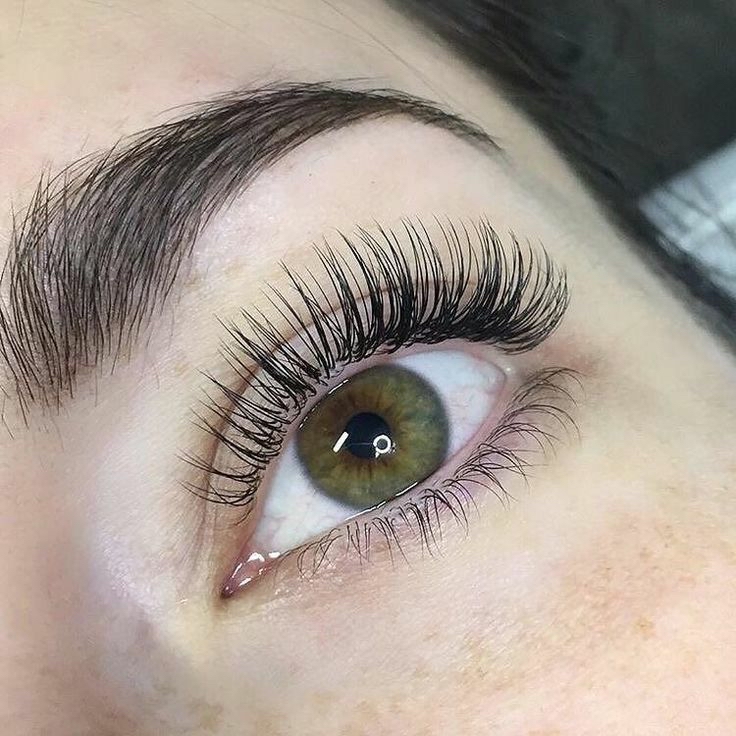 Classic Lash Fill (2 WK)