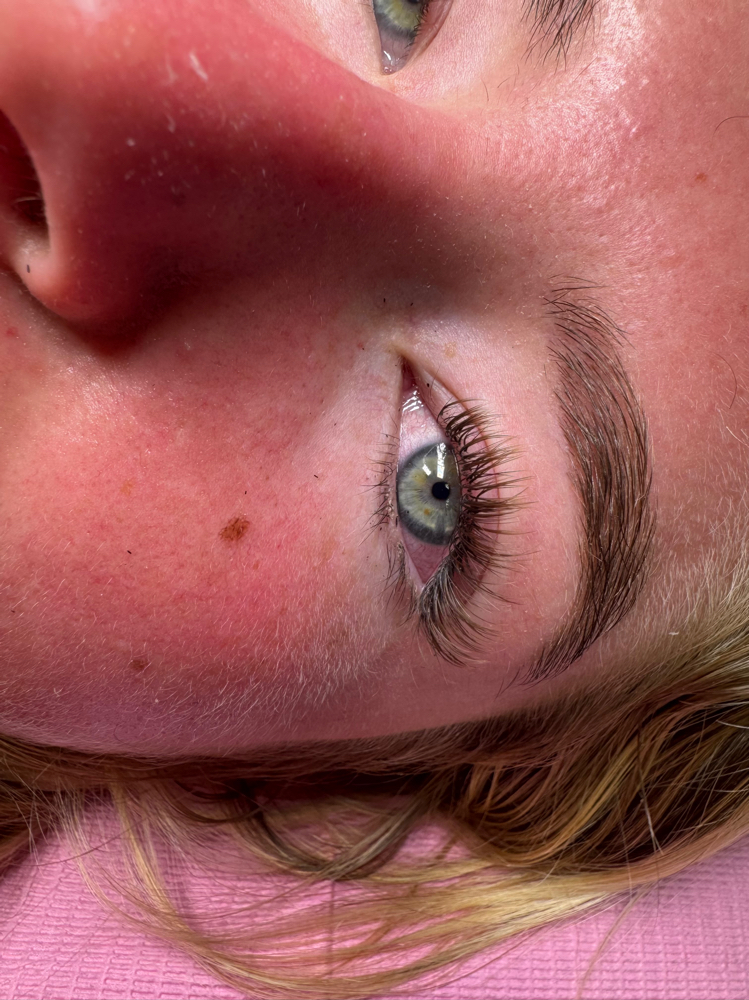 Brown Lash