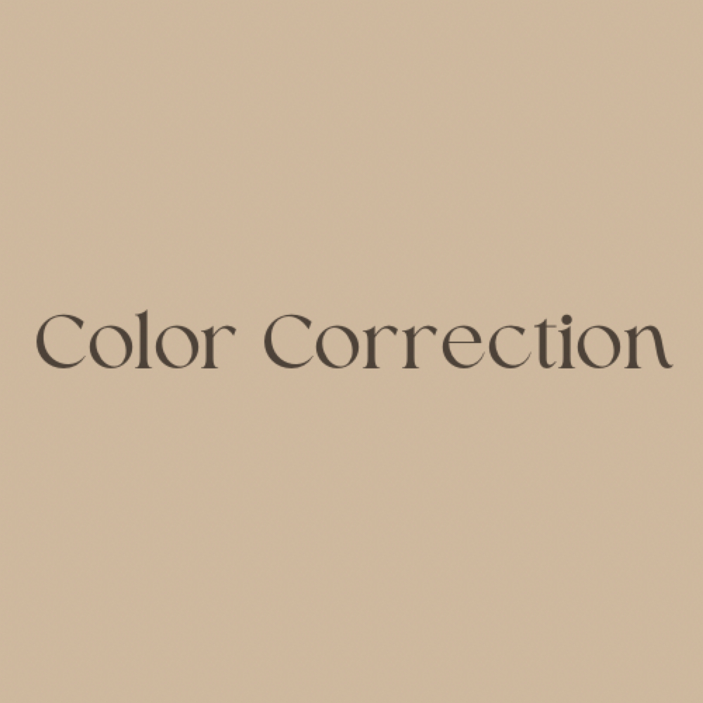 Color Correction at The Bronze Beauty Collective in Covington, LA