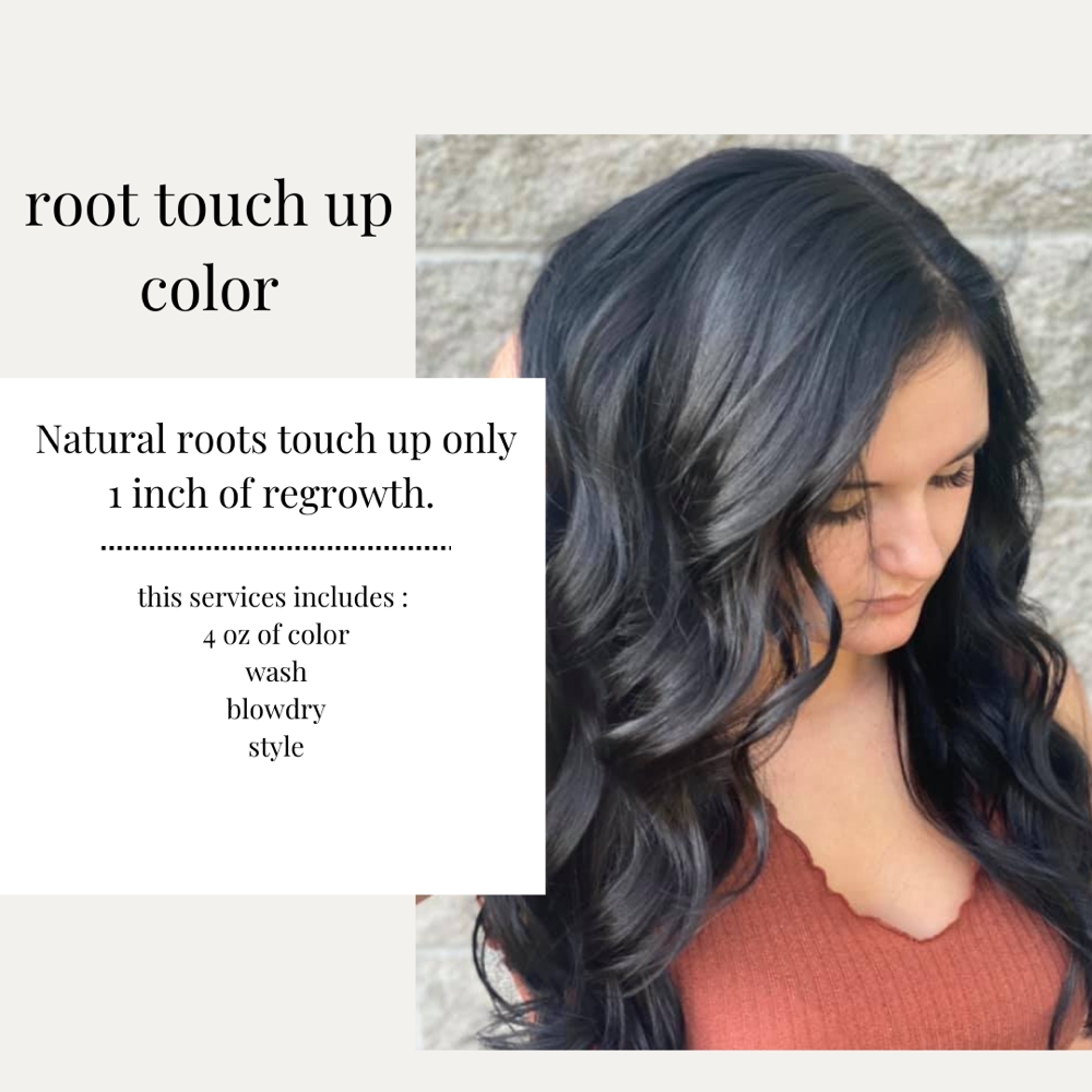 Color Touch Up w/ Cut