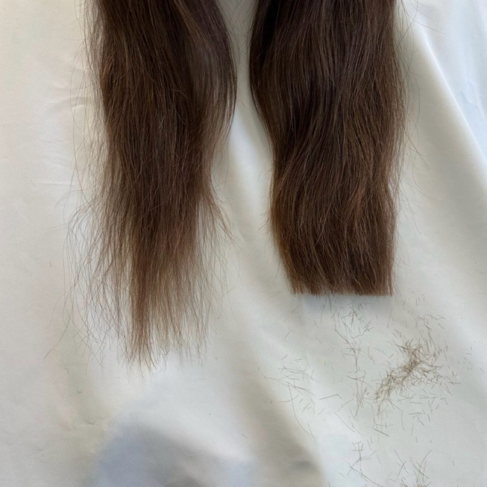 Haircut With Color Service at Chloe Burress in Gretna, NE