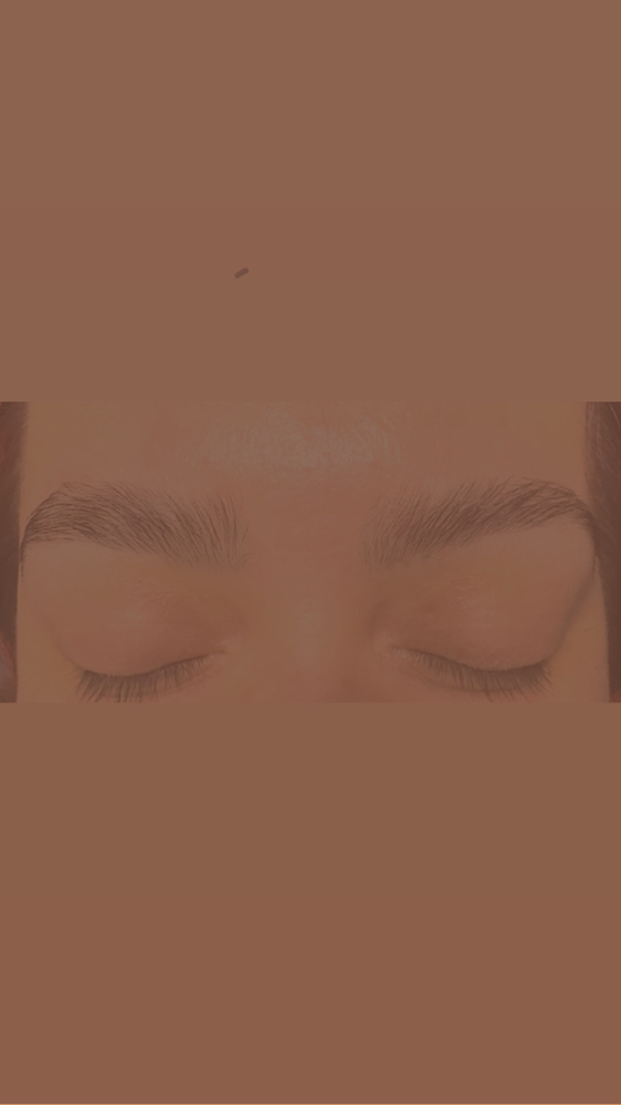 Brow Lamination at Salon 33 in Hayward, CA