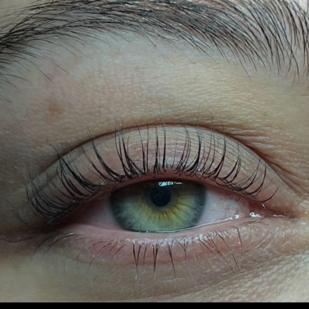 Lash Iift at Euro Chic Lash Lounge in El Paso, TX