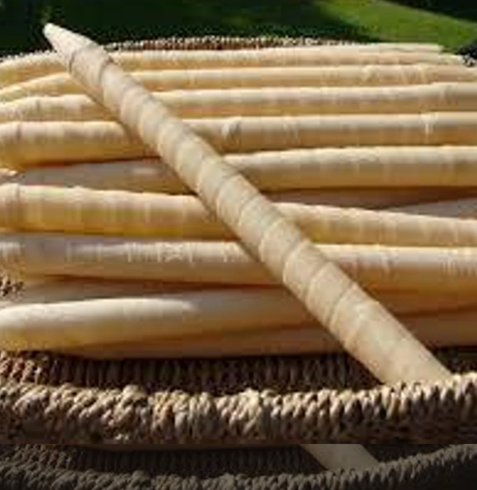 Ear Candling