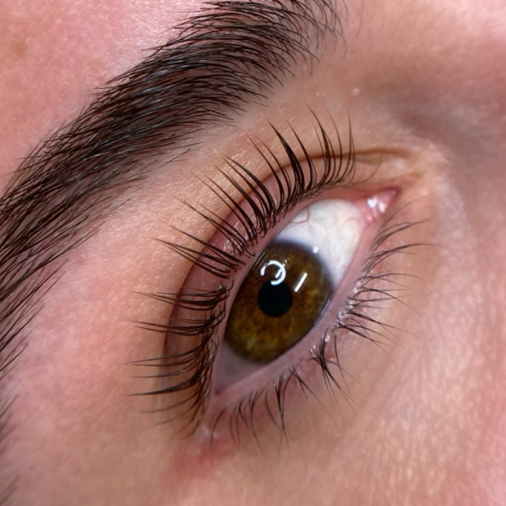 Korean Lash Lift at Elevate By Crystal Natasha in Madison, NJ