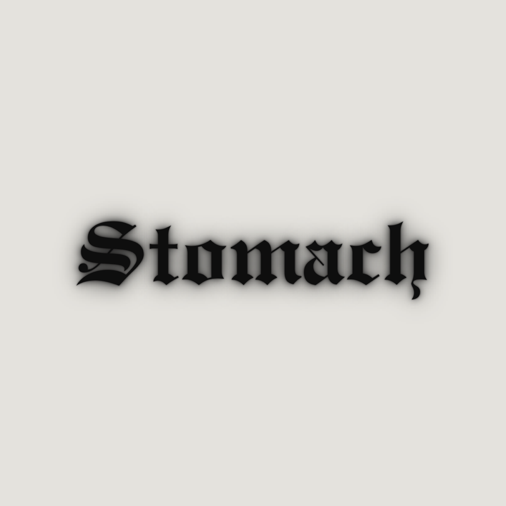 Stomach