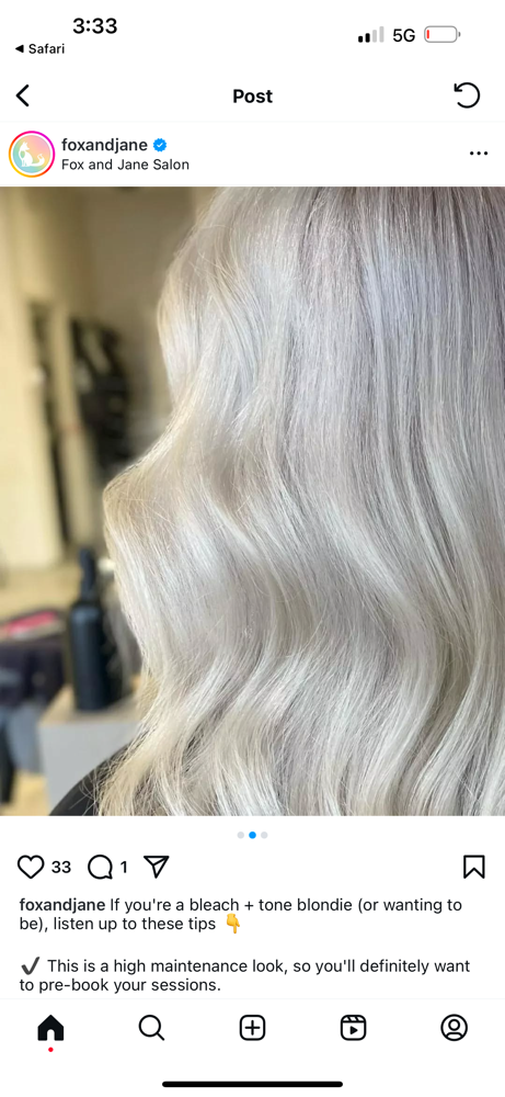 Bleach And Tone at Emilypaigehair in Point Pleasant, WV