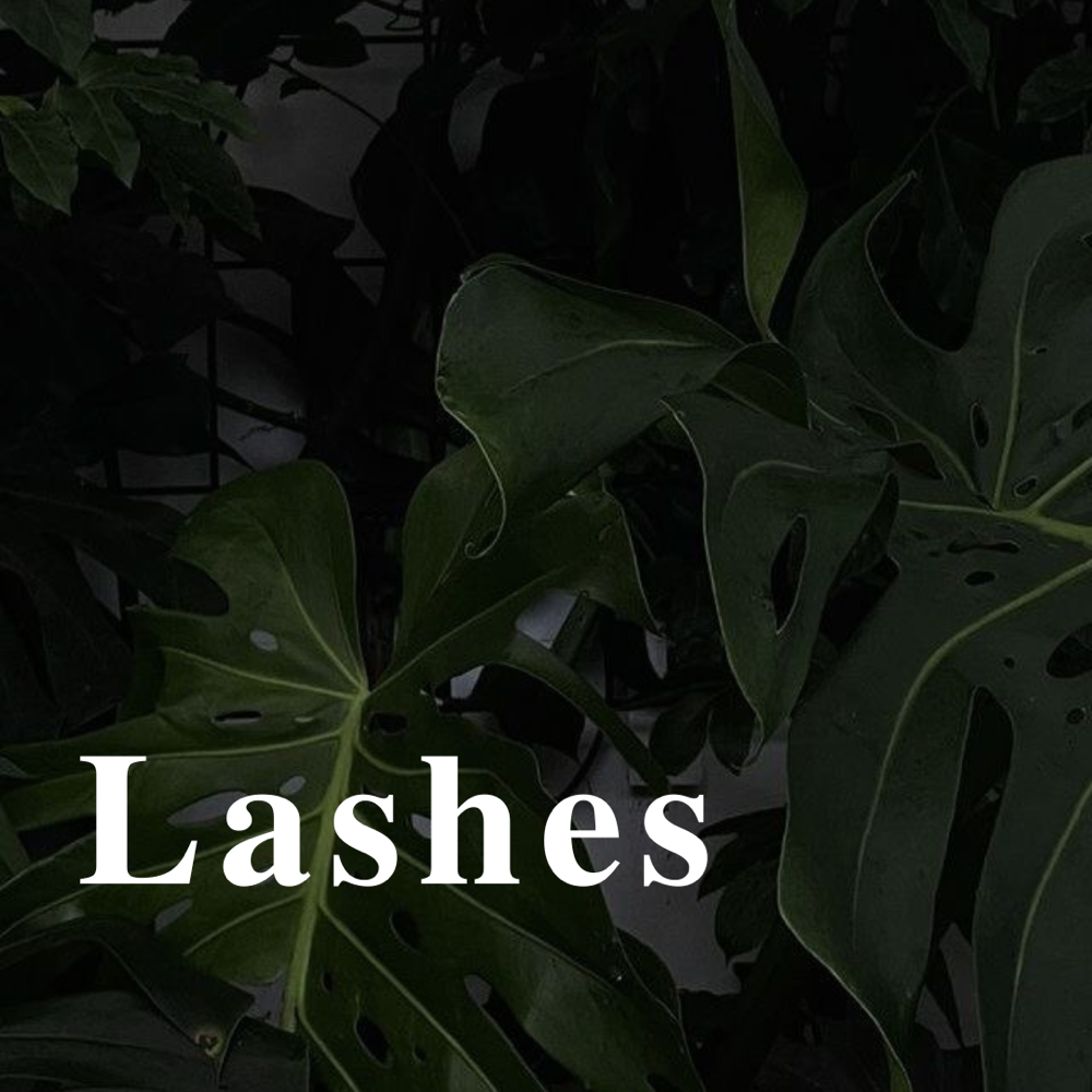 Lashes