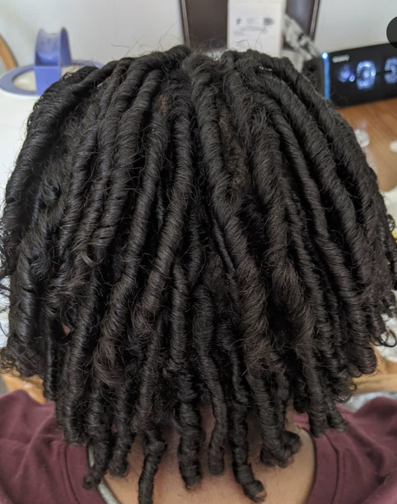 Kb's Starter Locs