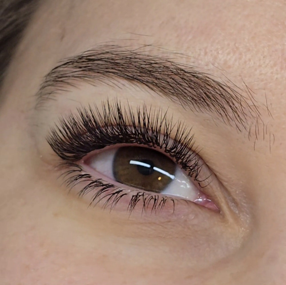 Lower Lashes Extensions