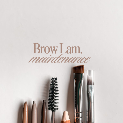Brow Lamination Maintenance at Studio 116 | seven in Orange, TX