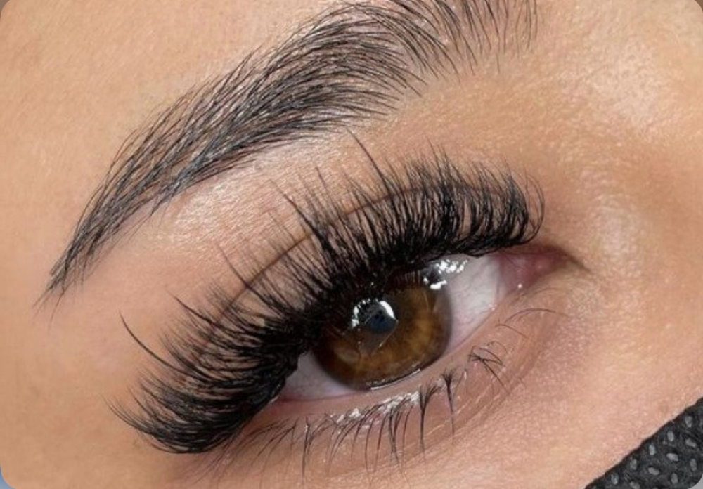 Hybrid Lashes 50$