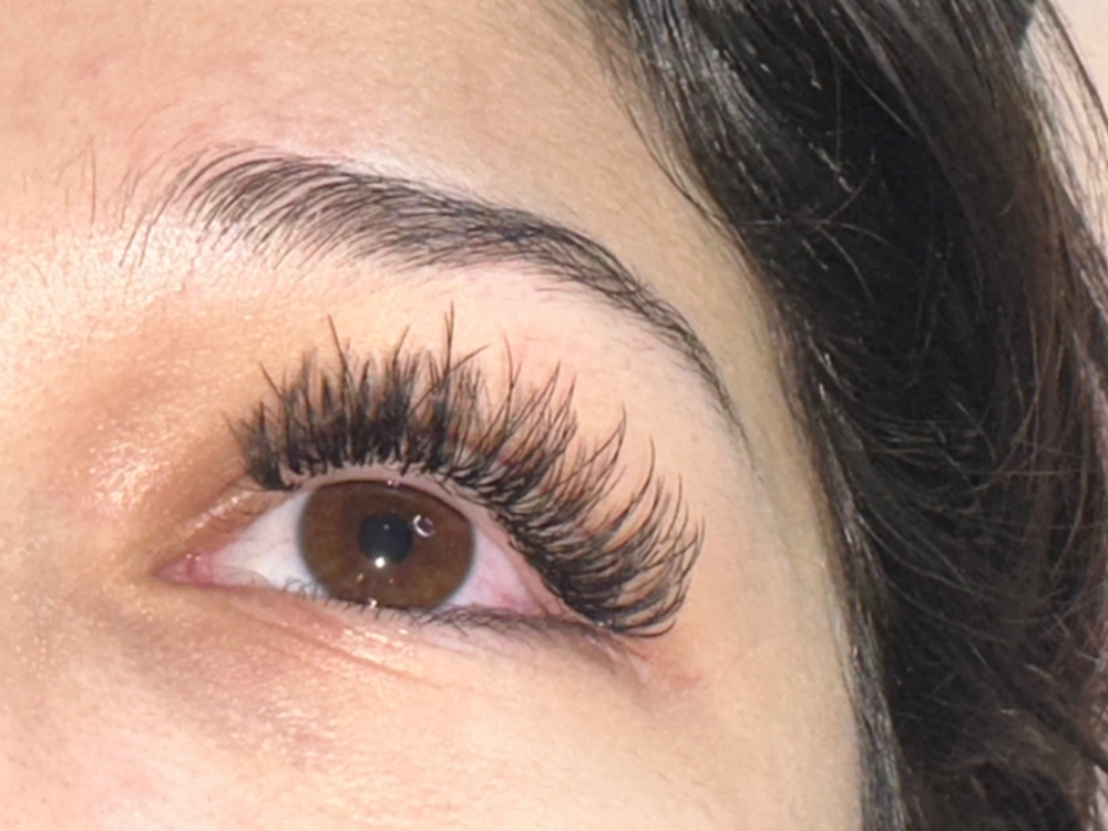 Lash Extention Fill