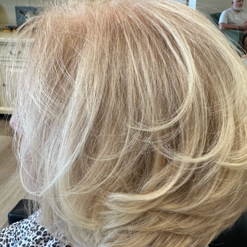 Full Highlight at Ashley Davis Hair @ The Olive Branch in Andersonville, TN