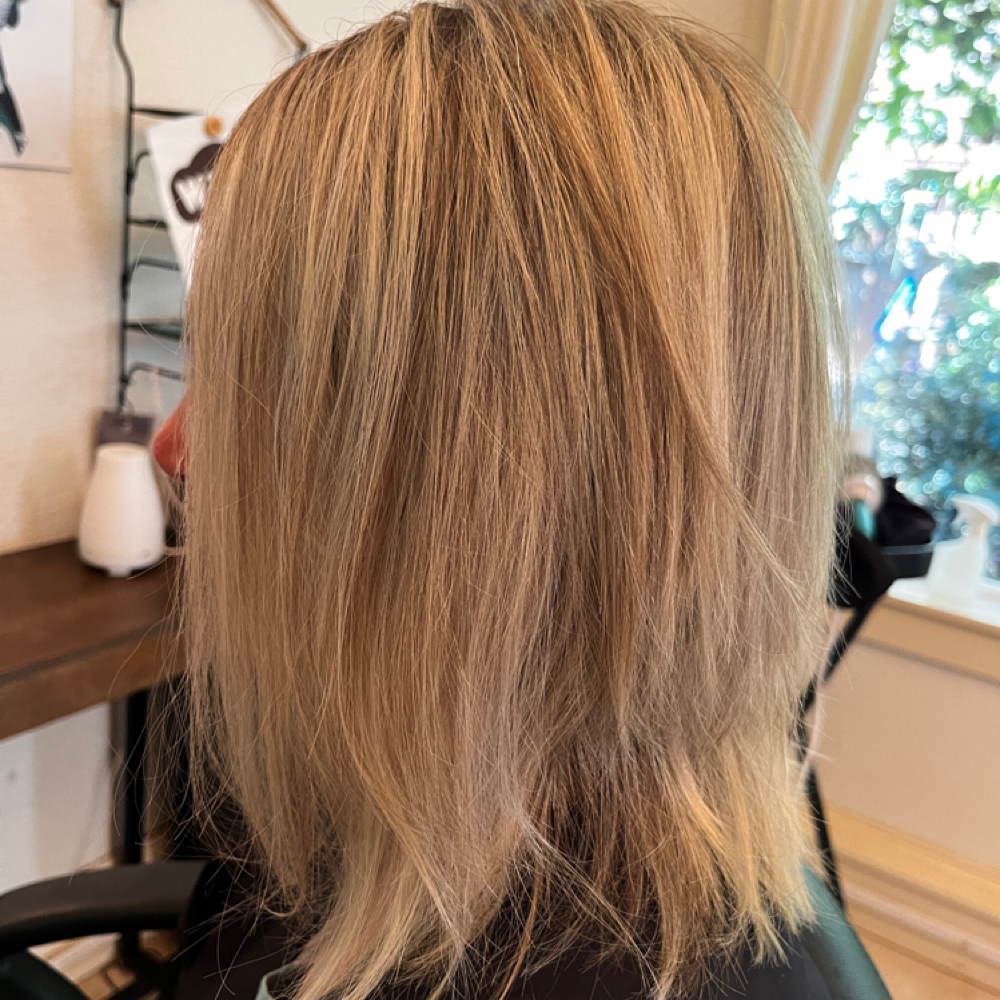 HALF HIGHLIGHTS at Salon Roya in Portland, OR