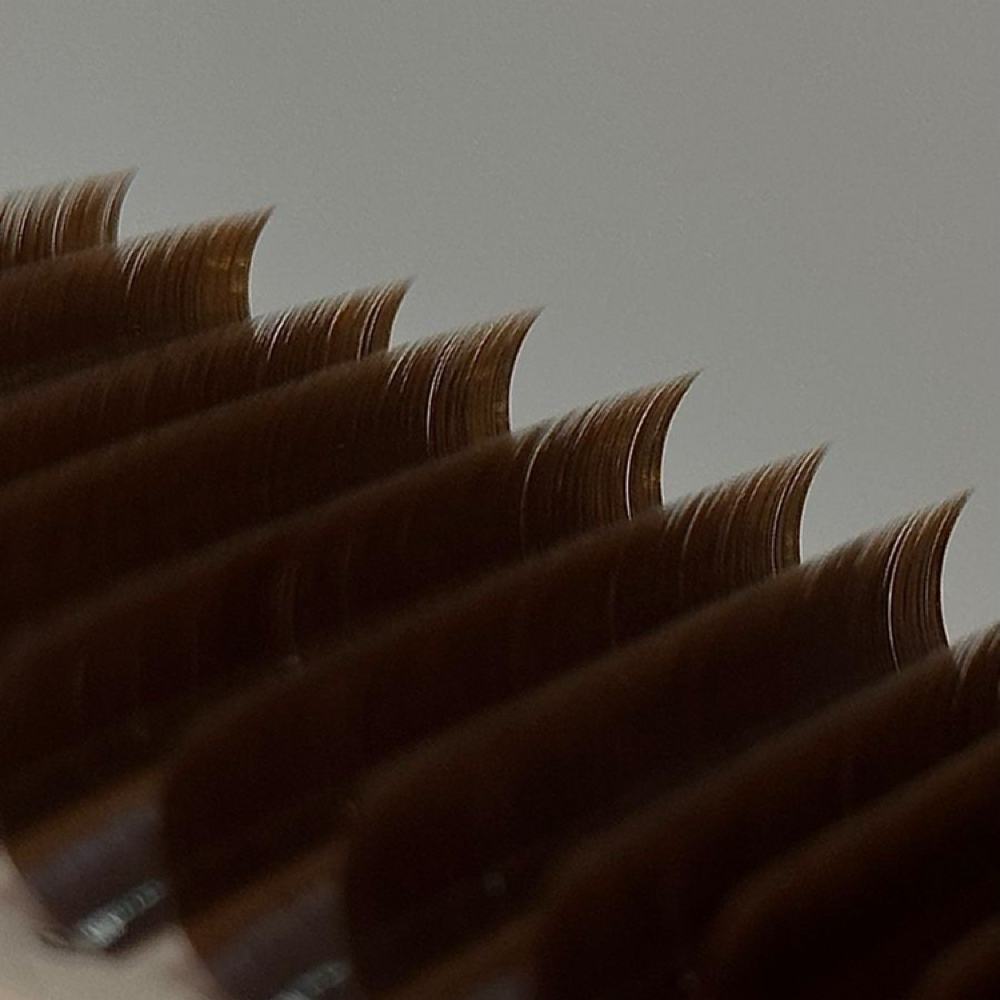 Mocha Lash Add-On at Tampa Lash Studio in Tampa, FL
