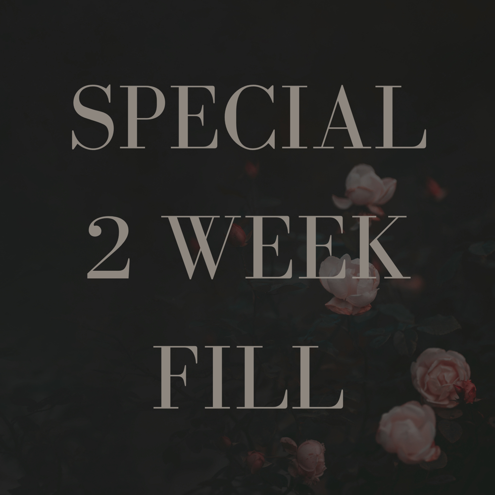 Special Set 2 Week Fill at Adorned Society in Caddo Mills, TX