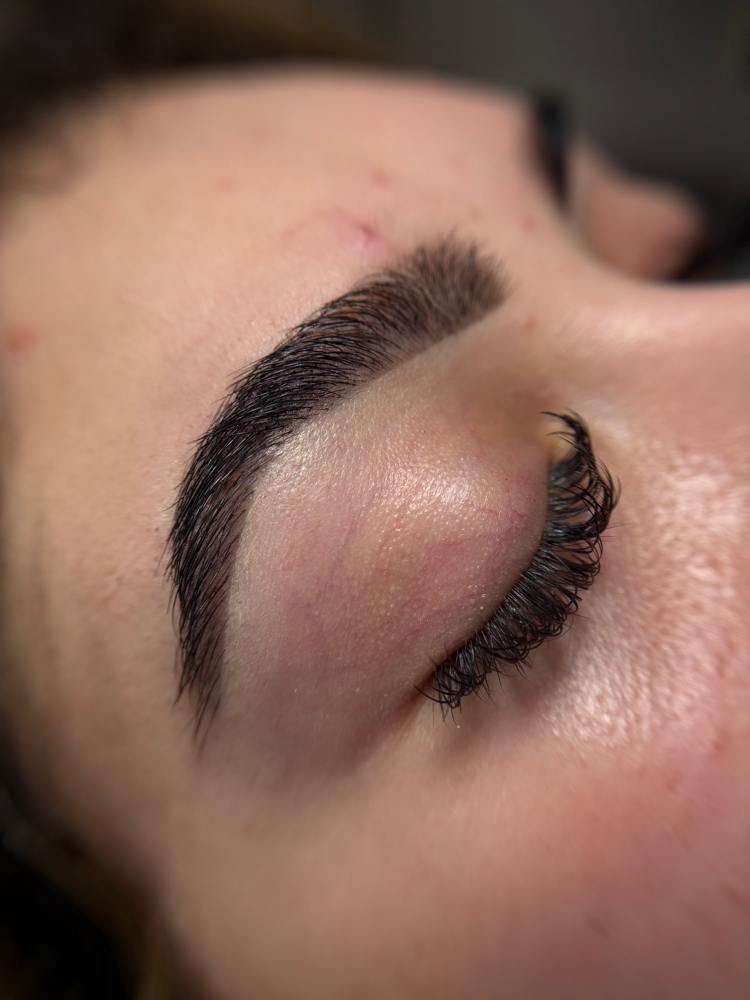 Brow Wax & Tint