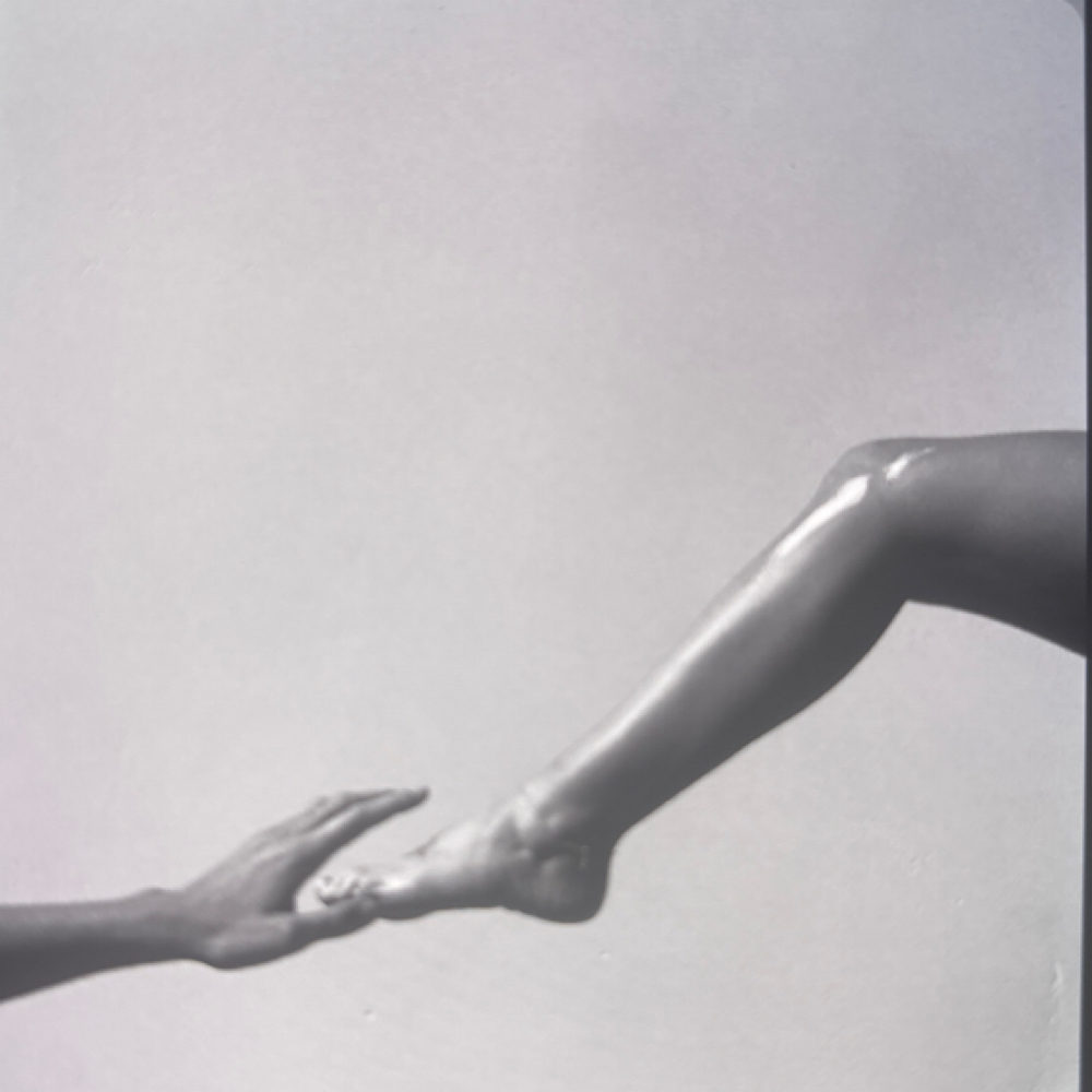 Half leg Wax at MODA Beauty Bar in Danville, KY