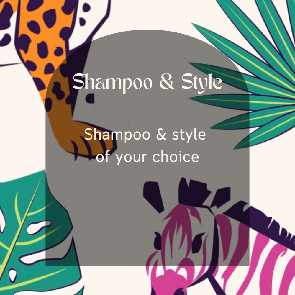 Shampoo & Style