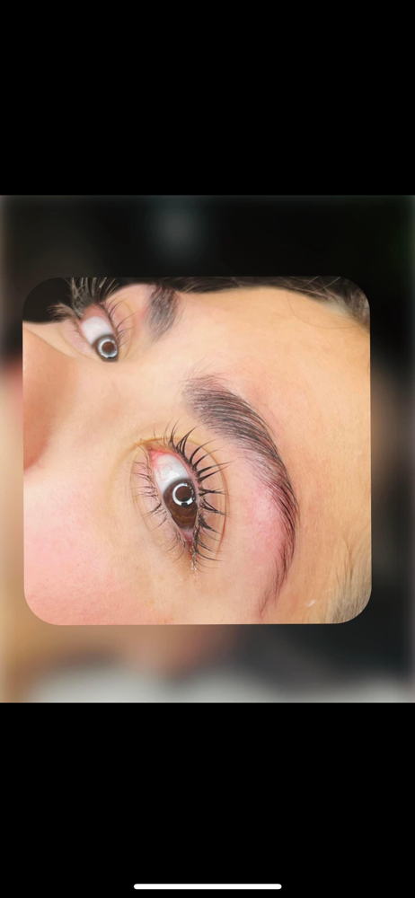 Eyebrow Lamination