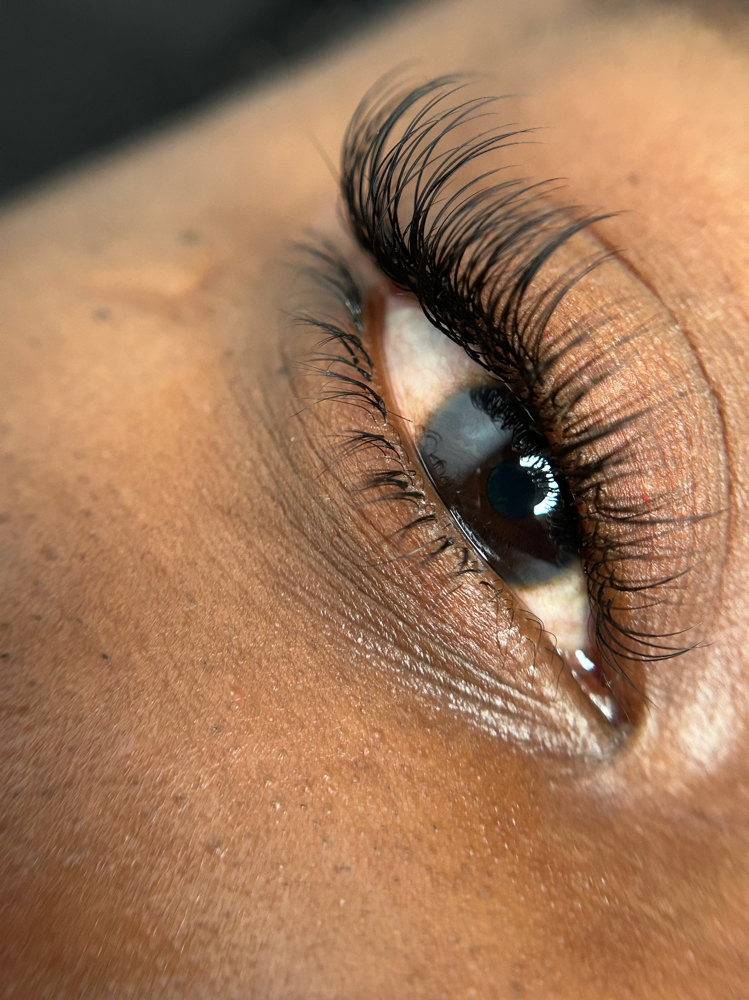 Bottom Lashes