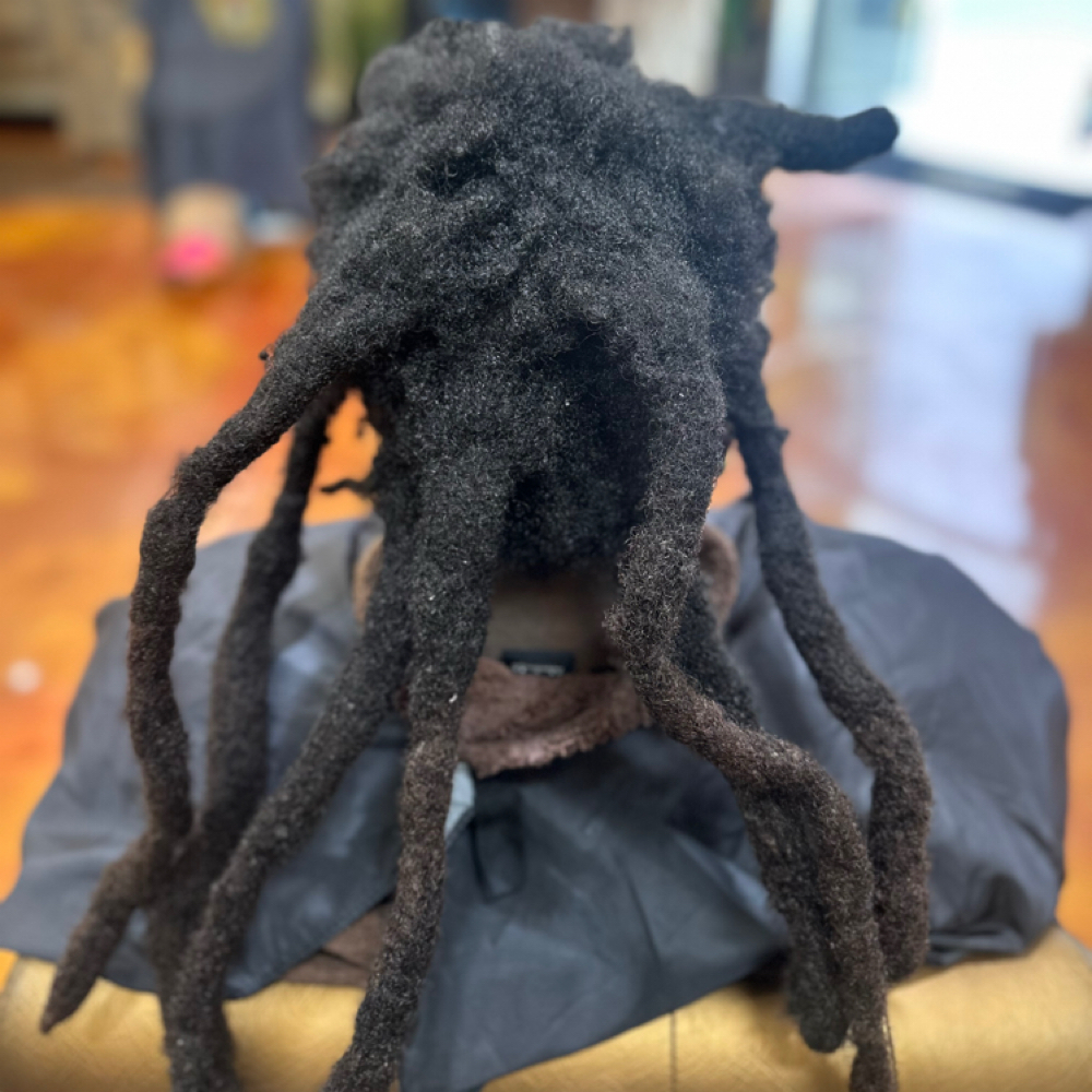 Loc Repair Consultation at Icey Locs in Inglewood, CA
