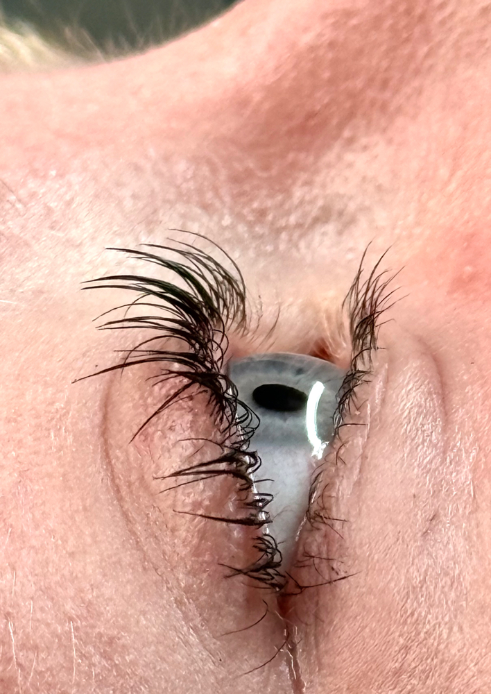 SUMMER LASH LIFT SPECIAL