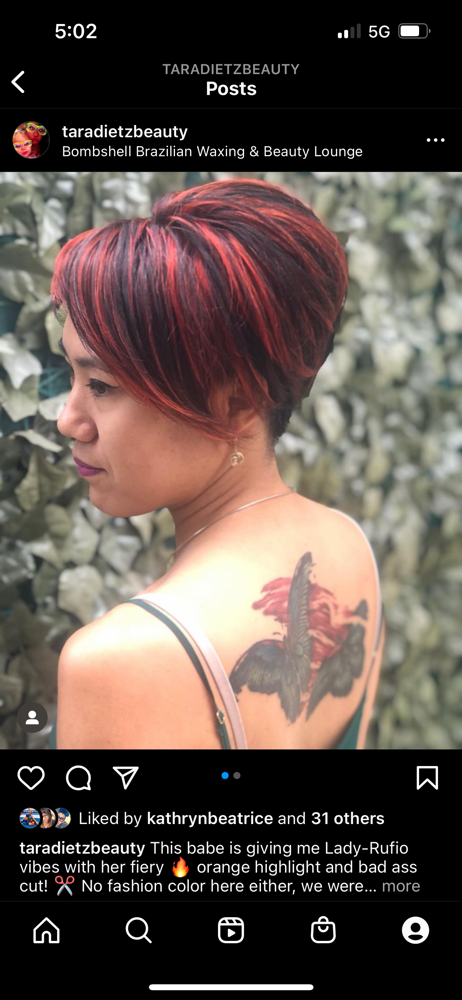 Color+Partial highlight+Blow Dry