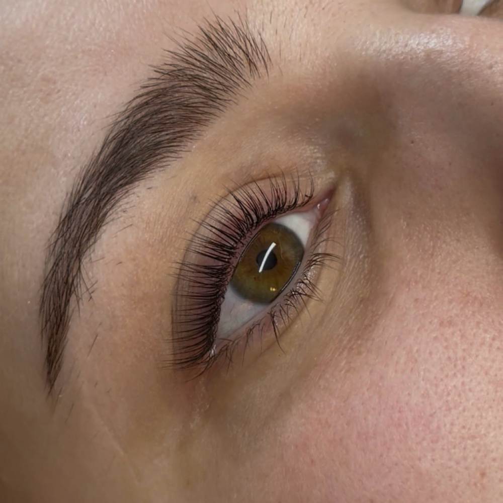 Korean Lash Lift And Tint at Lavish By Lily in Greenwood, AR