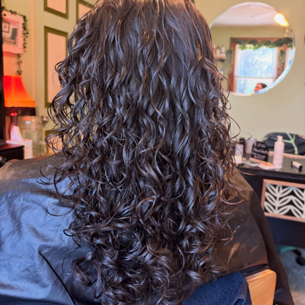 All Over Color at Maxx Lee Studio in Staten Island, NY