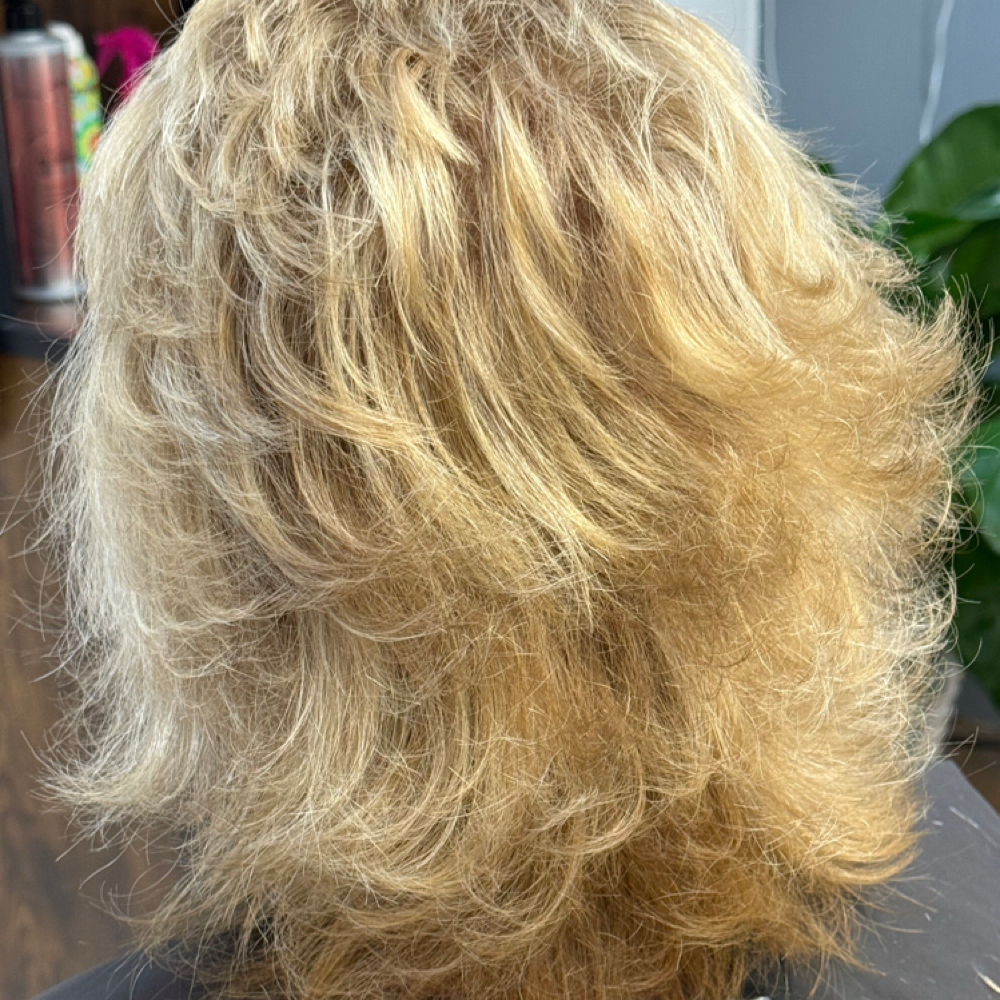 Root Touch Up WITH  Haircut at Classic Hair Designs in Kennebunk, ME
