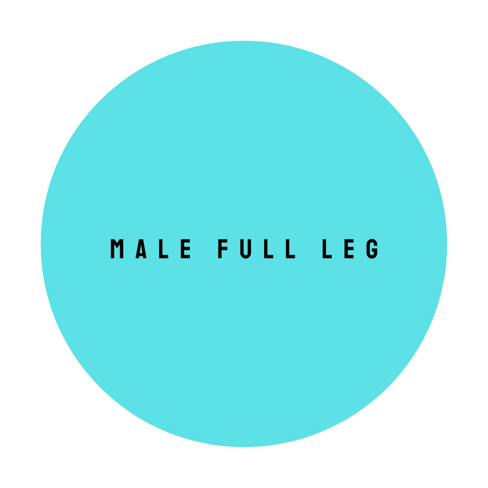 MALE FULL LEG at The Dollhouse Wax Studio in Smyrna, TN